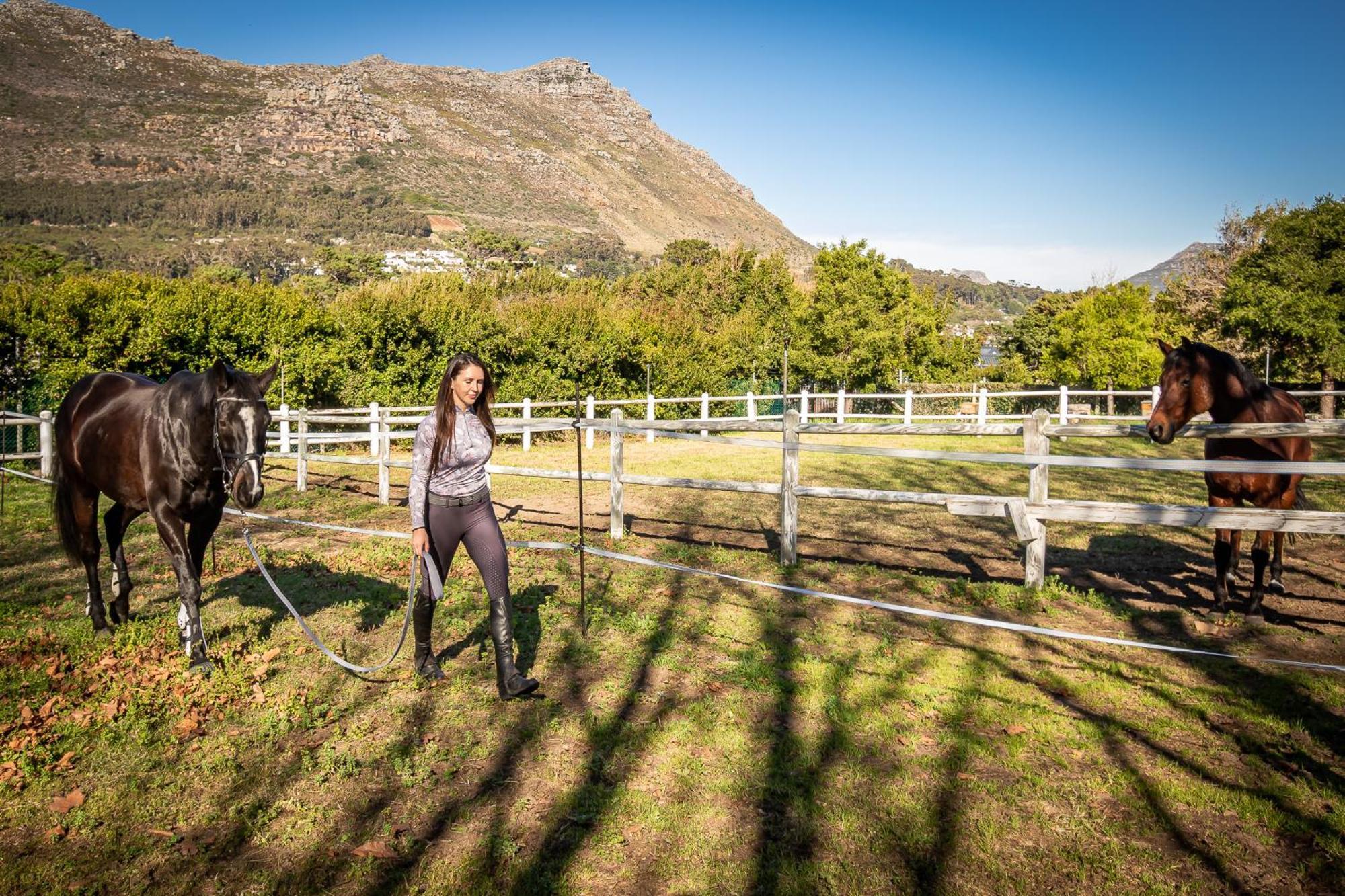 Novelle Vista Cottage Hout Bay Kültér fotó